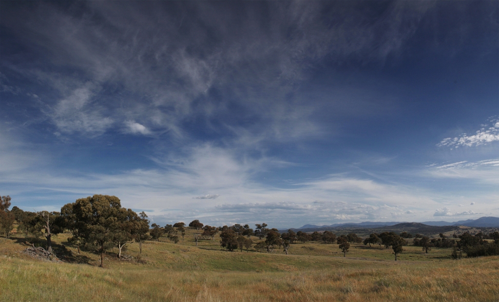 BWP pano.jpg